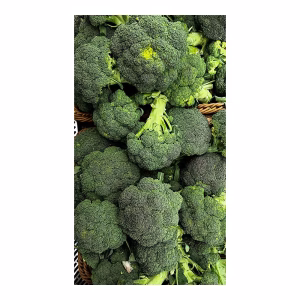 BROCOLI