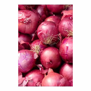 CEBOLLA MORADA