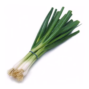 CEBOLLIN