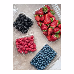 FRUTOS ROJOS DOMOS