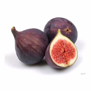 HIGO