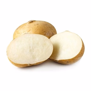 JICAMA