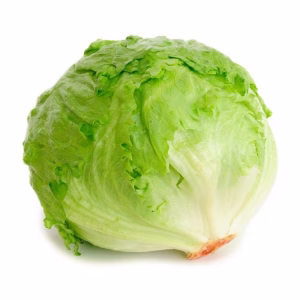 LECHUGA ROMANA
