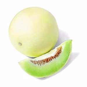 MELON VALENCIANO
