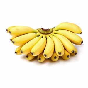 PLATANO DOMINICO