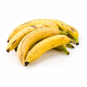 PLATANO MACHO