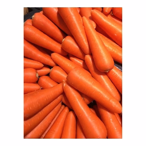 ZANAHORIA