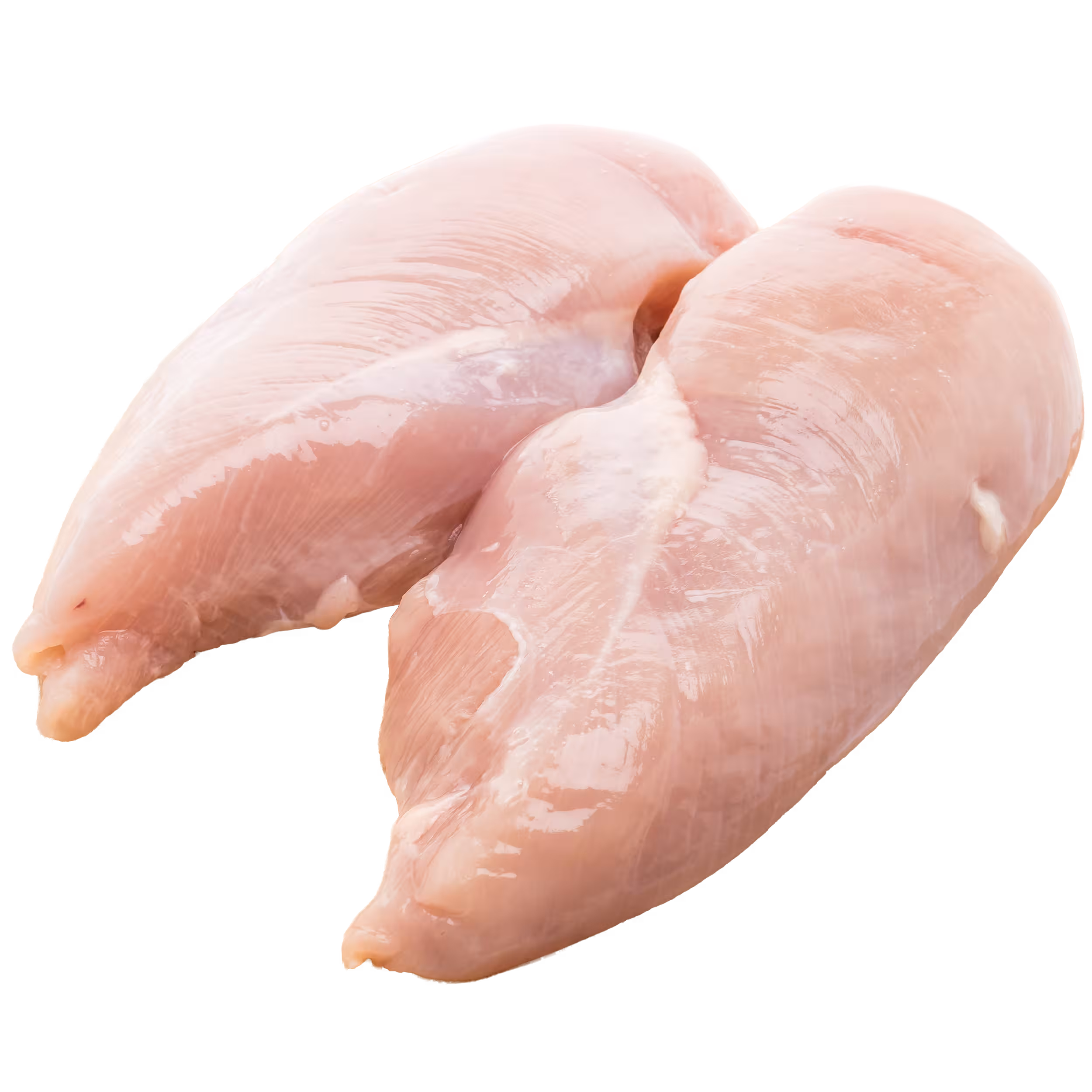pollo de pollo